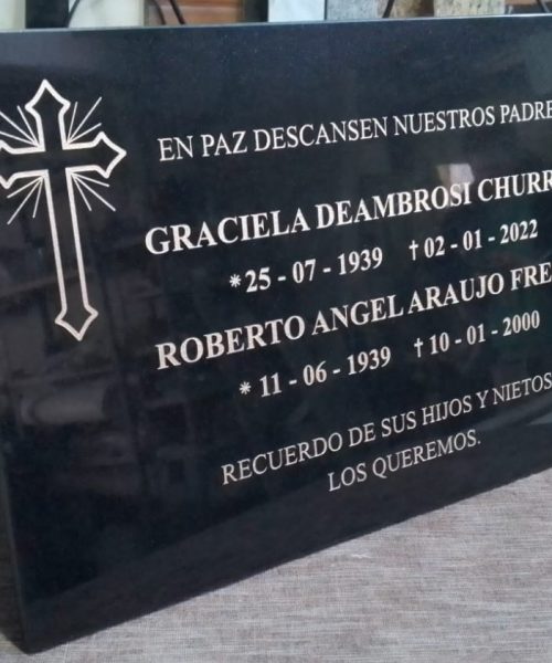 Placa 2